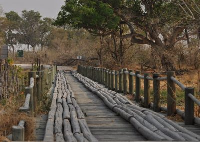 Okavango