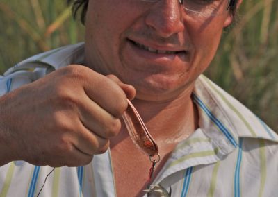 Okavango