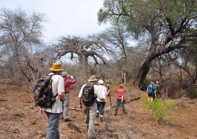 Kruger National Park Bookings