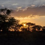 Nossob 4x4 Eco Trail