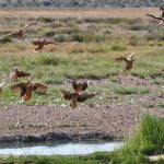 Nossob 4x4 Eco Trail