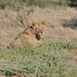 Nossob 4x4 Eco Trail