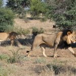 Nossob 4x4 Eco Trail