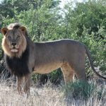 Nossob 4x4 Eco Trail