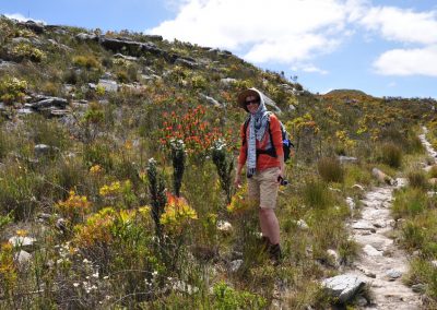 Gill your guide admiring the spectacular Fynbos on the Whale Trail Adventures