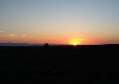 Tankwa Succulent Karoo Biome