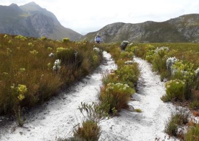 Overberg Wine Walks